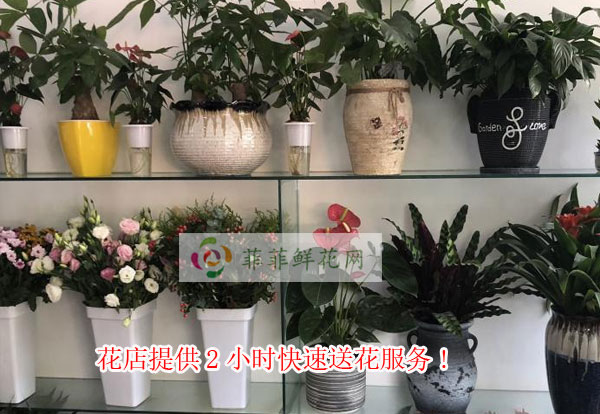 资阳安岳县花店提供资阳安岳县2小时快速送花服务